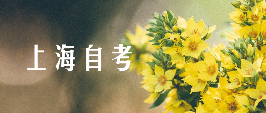 上海自考本科經(jīng)濟(jì)管理要學(xué)哪些科目？