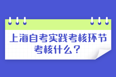 2022年上海自考實(shí)踐考核環(huán)節(jié)考核什么？